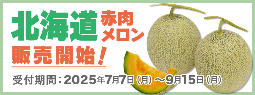 北海道赤肉メロン販売開始